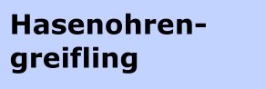 Hasenohrengreifling